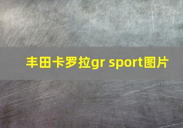 丰田卡罗拉gr sport图片